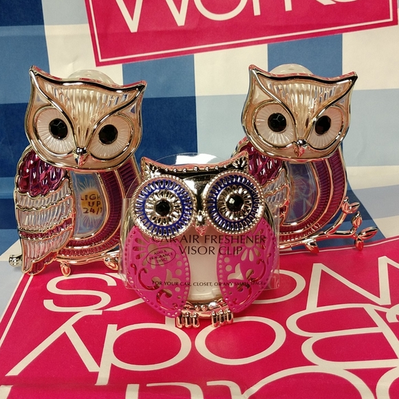 Bath & Body Works Other - BBW Wallflowers & Visor Clip